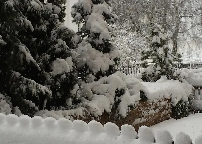 Relax Nelle Dolomiti In Location Da Sogno サン・カンディド